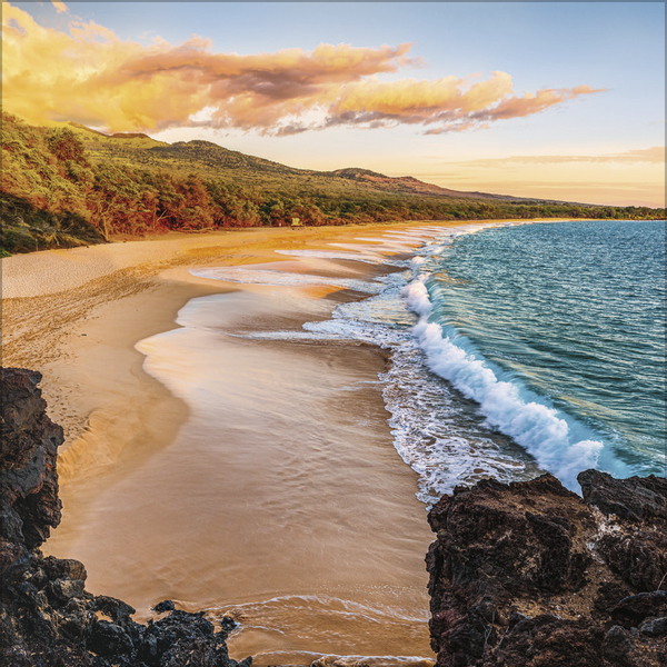 Weitere Ansicht: Trauminseln 2026