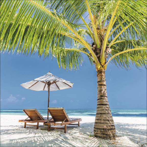 Weitere Ansicht: Trauminseln 2026