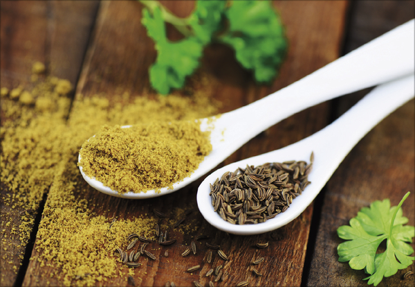 Weitere Ansicht: Kräuter und Gewürze 2026