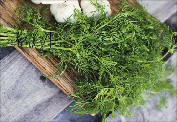 Weitere Ansicht: Kräuter und Gewürze 2026