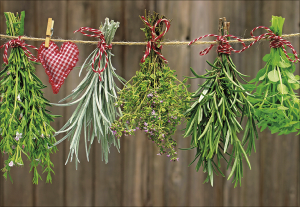 Weitere Ansicht: Kräuter und Gewürze 2026