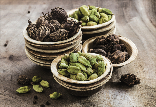 Weitere Ansicht: Kräuter und Gewürze 2026