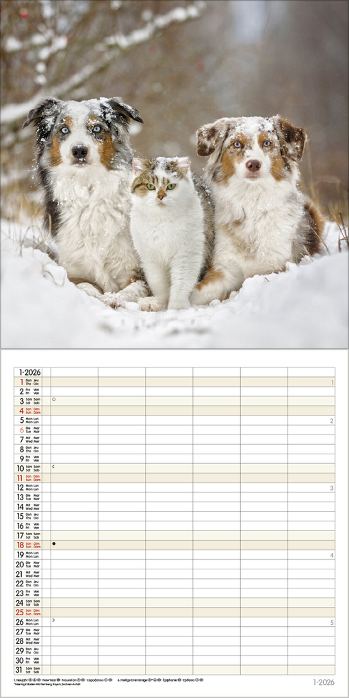 Weitere Ansicht: Tierfreundschaften - Familientimer 2026