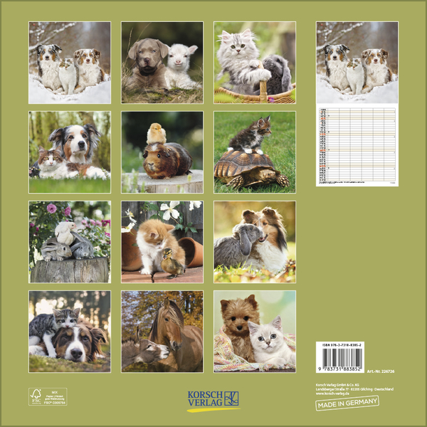 Weitere Ansicht: Tierfreundschaften - Familientimer 2026