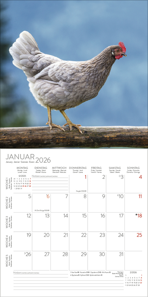 Weitere Ansicht: Hühner 2026