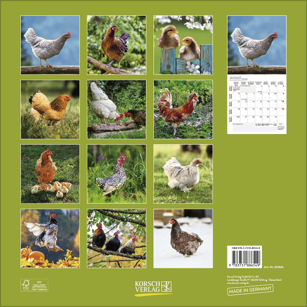 Weitere Ansicht: Hühner 2026