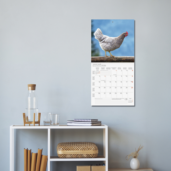 Weitere Ansicht: Hühner 2026