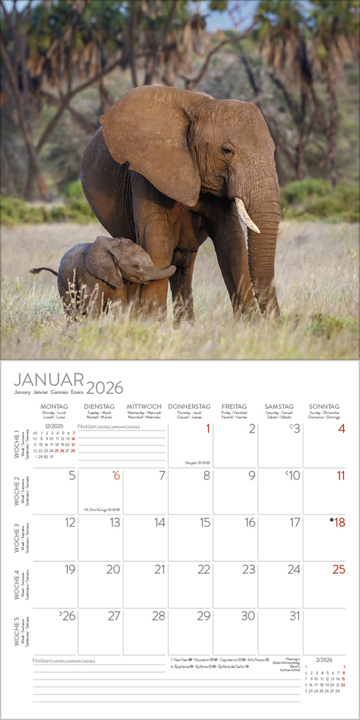 Weitere Ansicht: Elefanten 2026