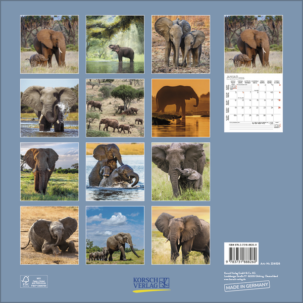 Weitere Ansicht: Elefanten 2026