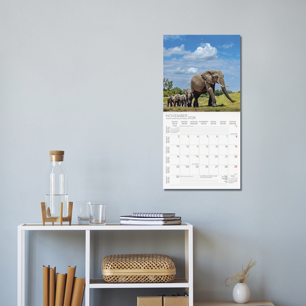 Weitere Ansicht: Elefanten 2026