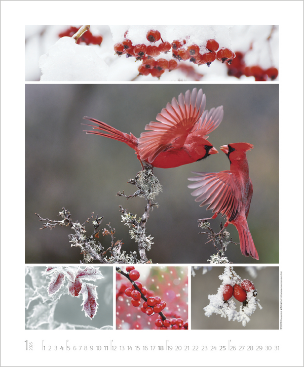 Weitere Ansicht: NaturGenuss 2026