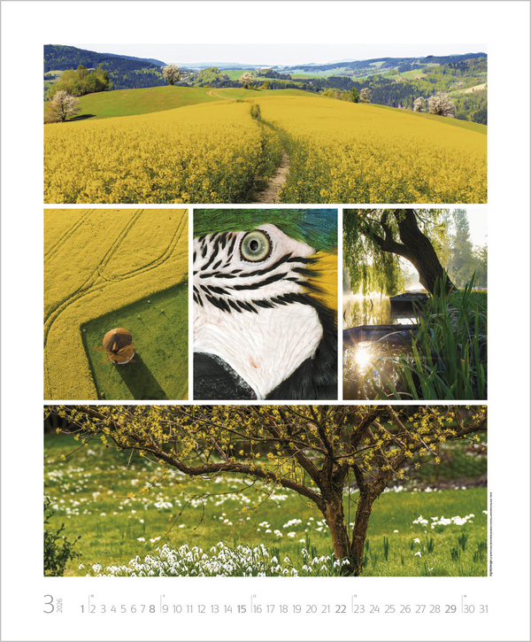 Weitere Ansicht: NaturGenuss 2026