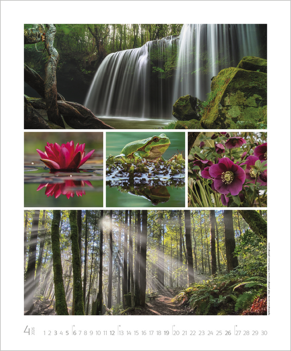 Weitere Ansicht: NaturGenuss 2026