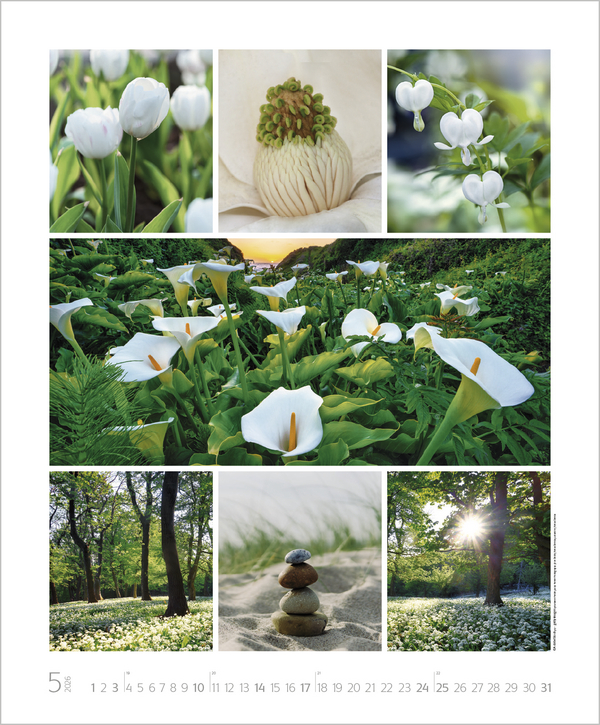 Weitere Ansicht: NaturGenuss 2026