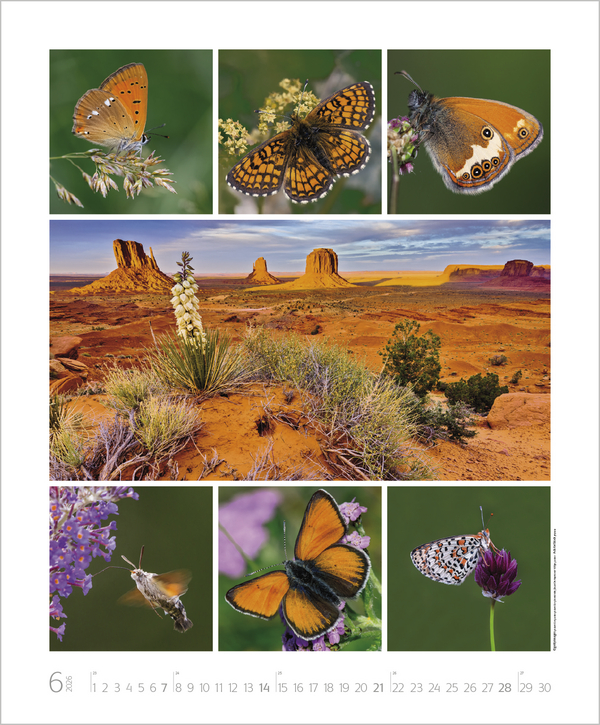 Weitere Ansicht: NaturGenuss 2026