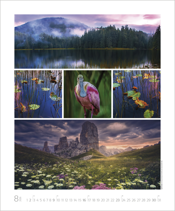 Weitere Ansicht: NaturGenuss 2026