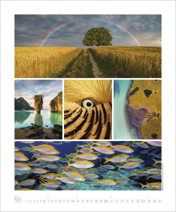 Weitere Ansicht: NaturGenuss 2026