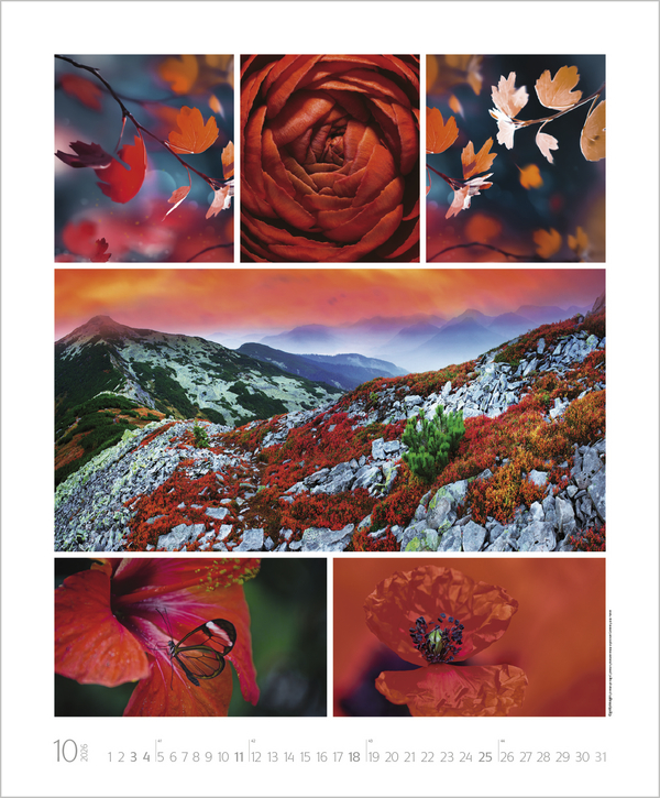 Weitere Ansicht: NaturGenuss 2026