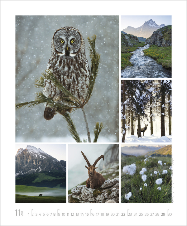 Weitere Ansicht: NaturGenuss 2026