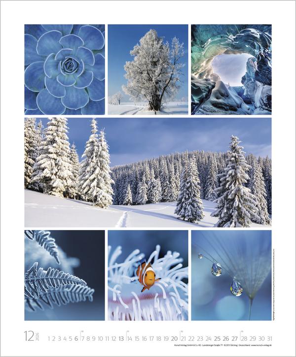 Weitere Ansicht: NaturGenuss 2026