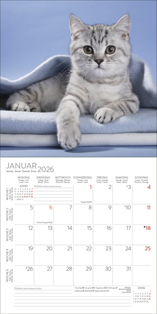 Weitere Ansicht: Cats 2026