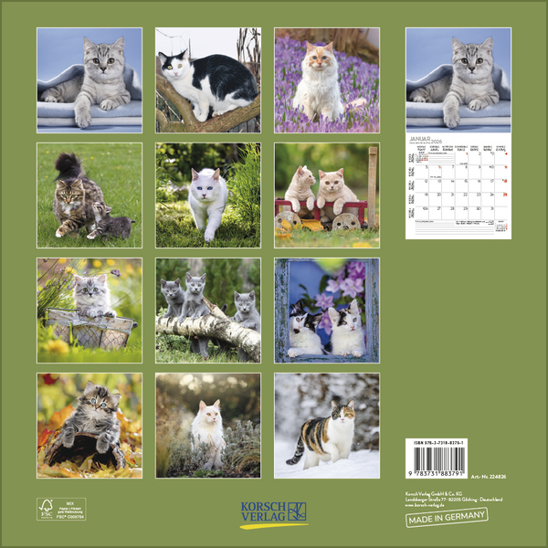 Weitere Ansicht: Cats 2026