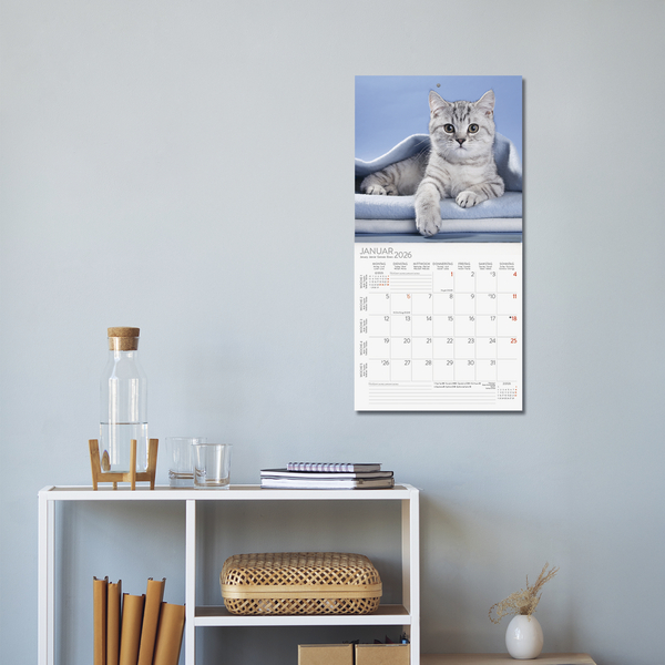 Weitere Ansicht: Cats 2026