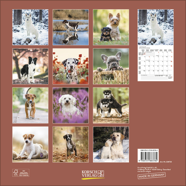 Weitere Ansicht: Dogs 2026