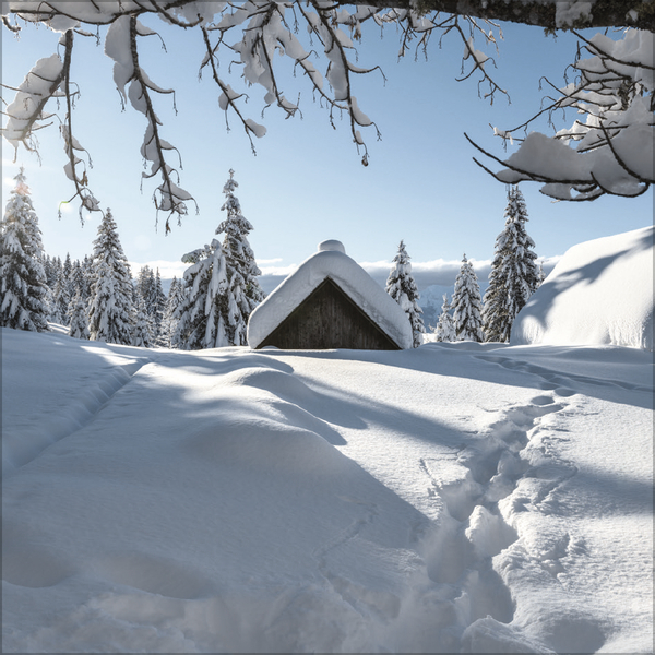 Weitere Ansicht: Augenblicke der Stille 2026