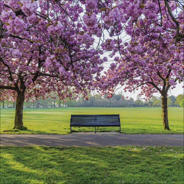 Weitere Ansicht: Augenblicke der Stille 2026