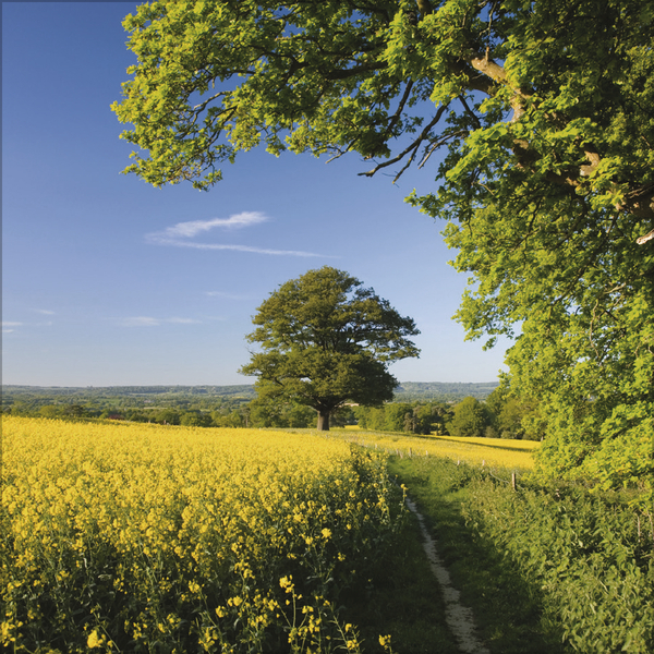 Weitere Ansicht: Augenblicke der Stille 2026