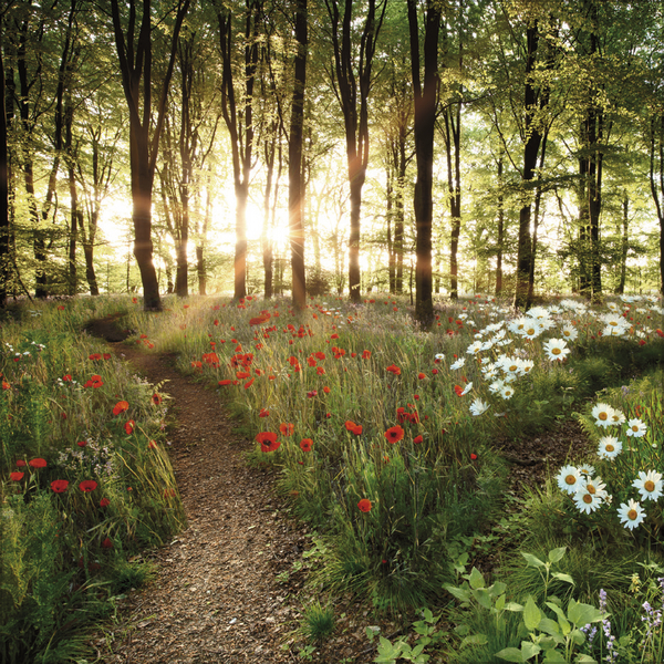 Weitere Ansicht: Augenblicke der Stille 2026