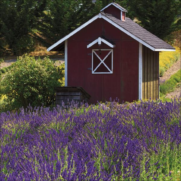 Weitere Ansicht: Augenblicke der Stille 2026
