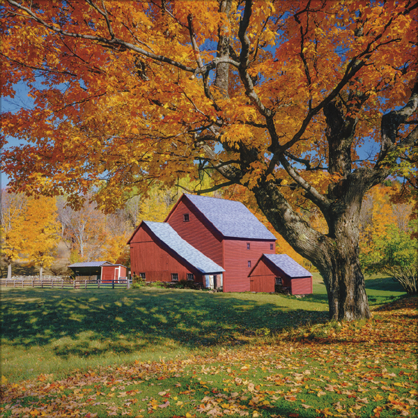 Weitere Ansicht: Augenblicke der Stille 2026