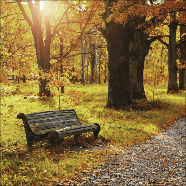 Weitere Ansicht: Augenblicke der Stille 2026