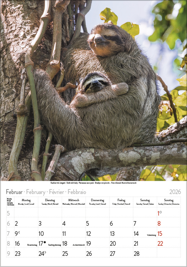 Weitere Ansicht: Tierkinder 2026