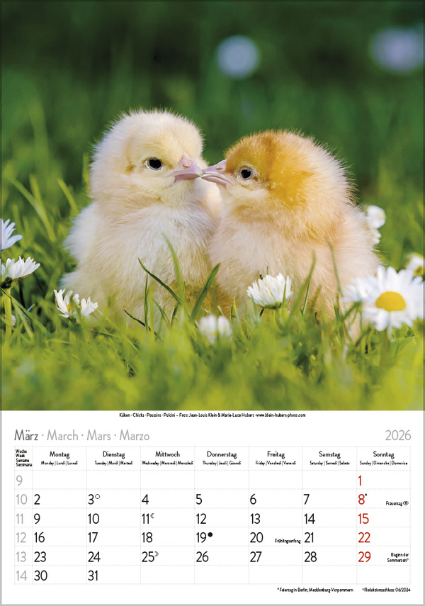 Weitere Ansicht: Tierkinder 2026