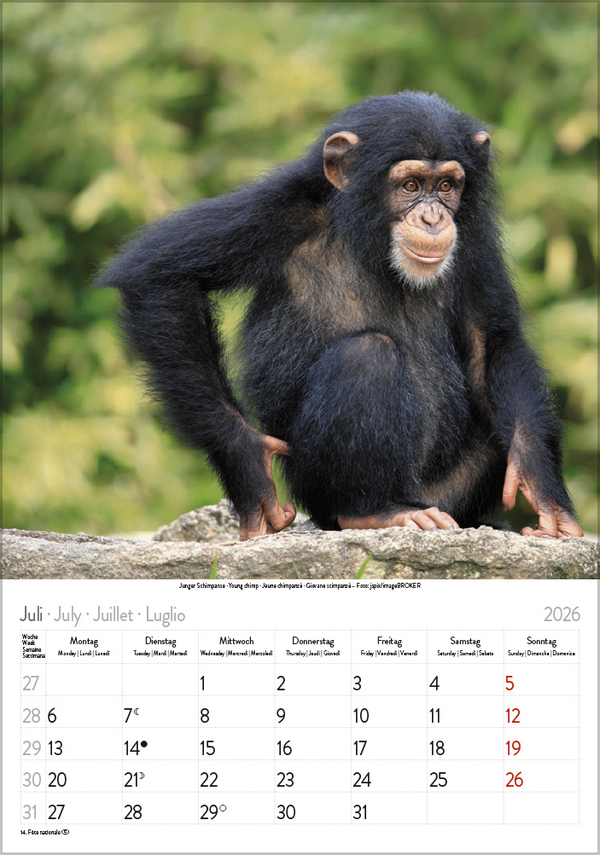 Weitere Ansicht: Tierkinder 2026