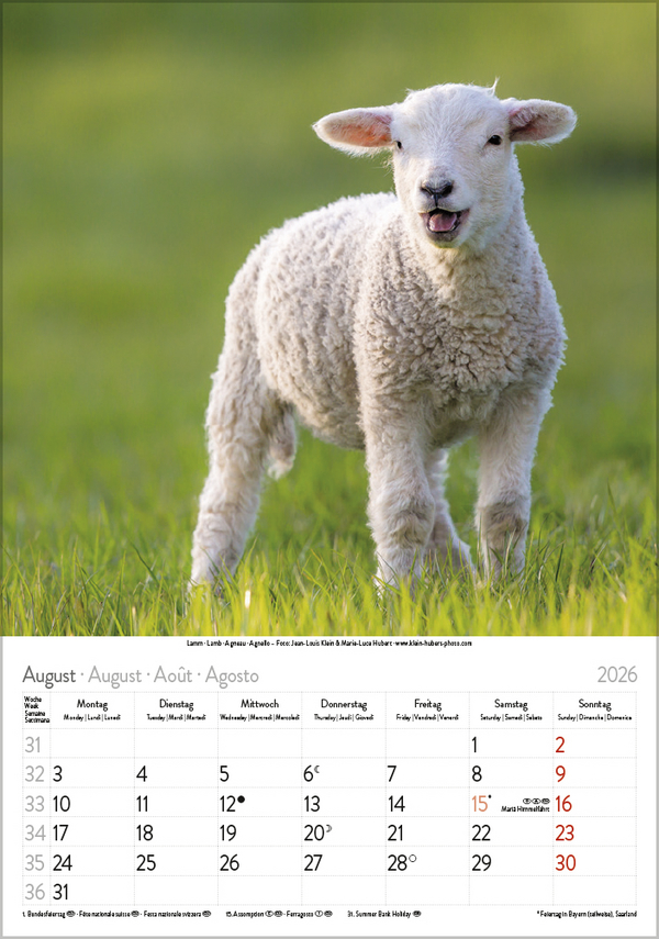 Weitere Ansicht: Tierkinder 2026