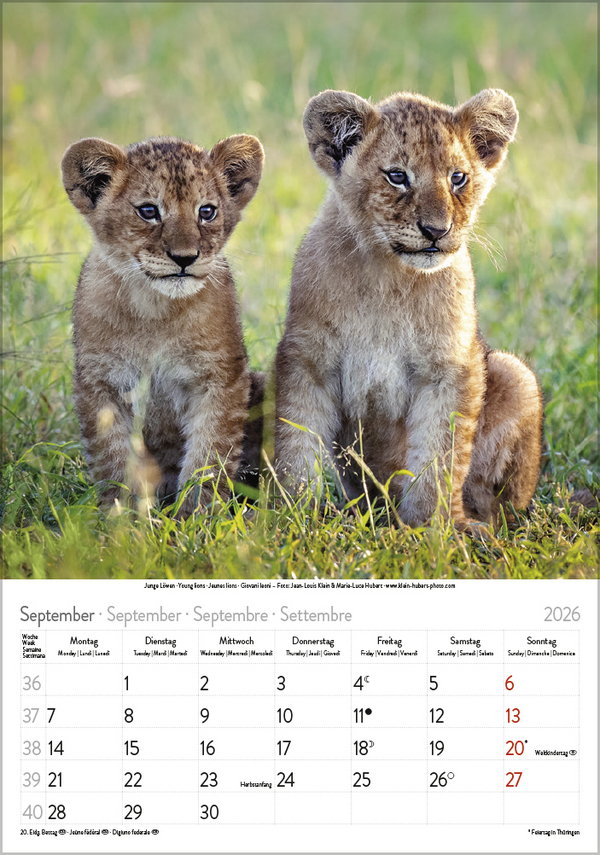Weitere Ansicht: Tierkinder 2026