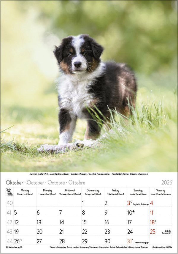 Weitere Ansicht: Tierkinder 2026