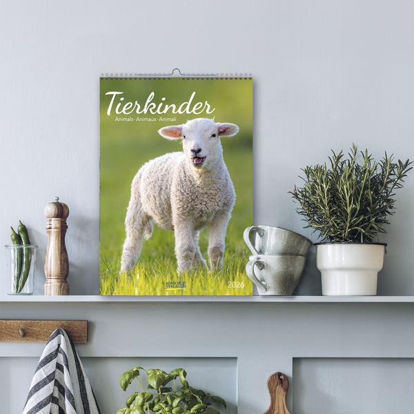 Weitere Ansicht: Tierkinder 2026