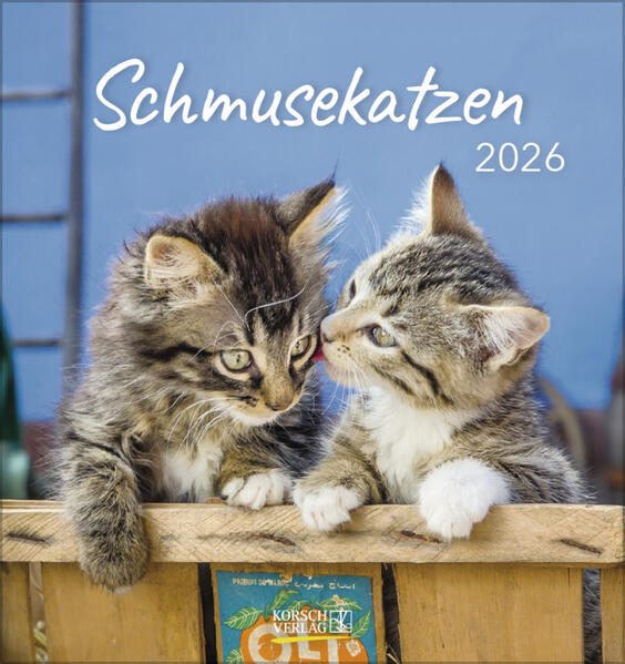 Produktbild: Schmusekatzen 2026