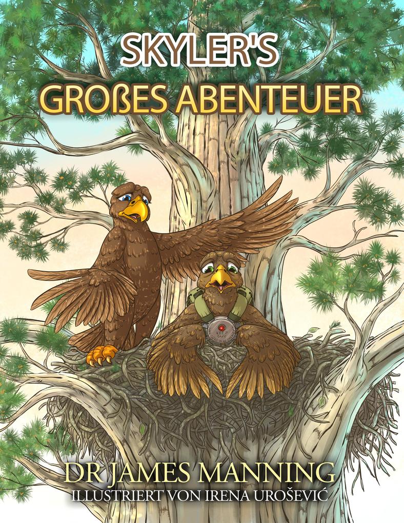 Produktbild: Skyler's großes Abenteuer | James P. Manning