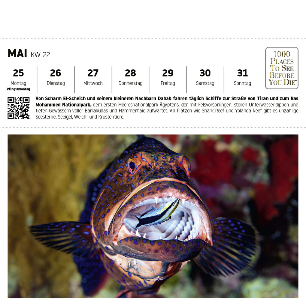 Weitere Ansicht: Nationalparks und Naturparadiese Postkartenkalender
