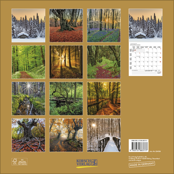 Weitere Ansicht: Magische Wälder 2026