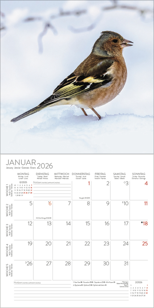 Weitere Ansicht: Vögel 2026