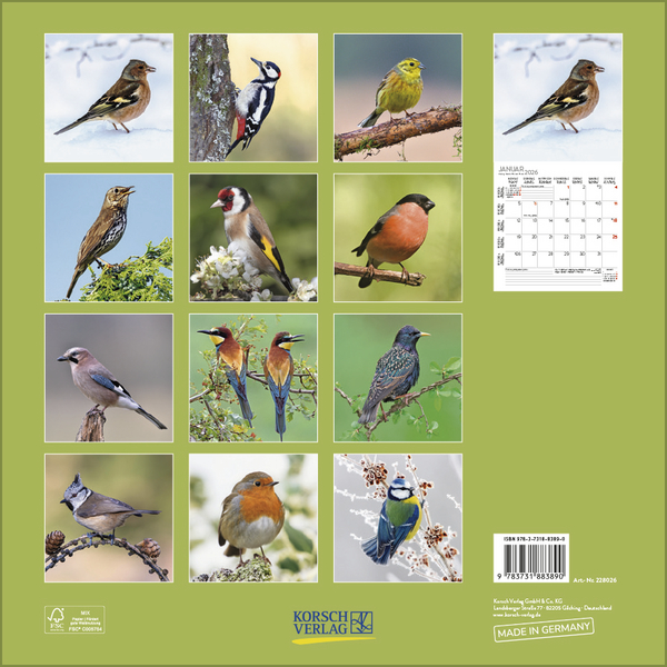 Weitere Ansicht: Vögel 2026