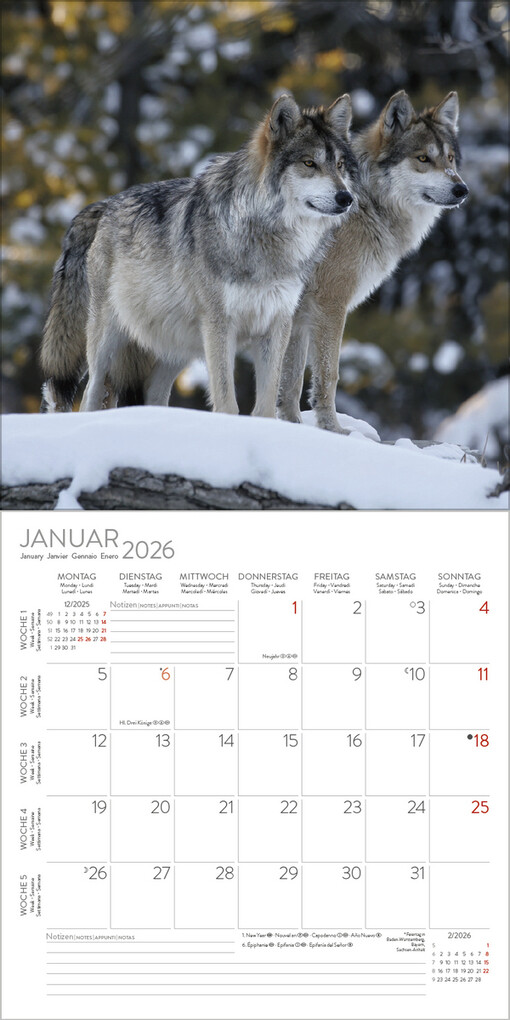 Weitere Ansicht: Tiere des Waldes 2026