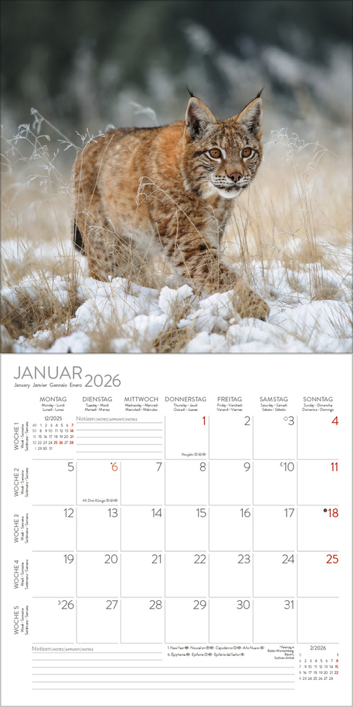 Weitere Ansicht: Big Cats 2026